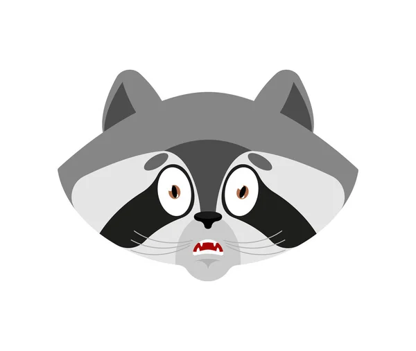 Raccoon scared OMG emotion. Racoon Oh my God emoji. Frightened Coon. Vector illustration
