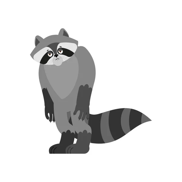 Raccoon Sad Racoon Sorrowful Emotions Coon Dull Vector Illustration — Stock Vector