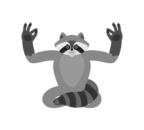 Yoga Procione Racoon Yogi Isolato Coon Relax Meditazione Illustrazione Vettoriale — Vettoriale Stock