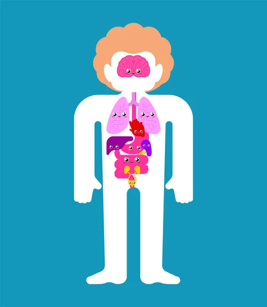 Niedliche Menschliche Anatomie Organe Innen Cartoon Artige Systeme Des Menschlichen — Stockvektor