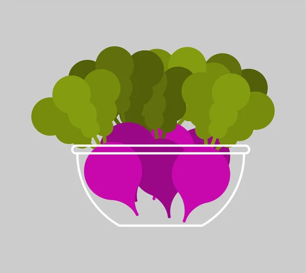 Rábano en tazón. Ilustración de vectores vegetales frescos. Comida saludable — Vector de stock