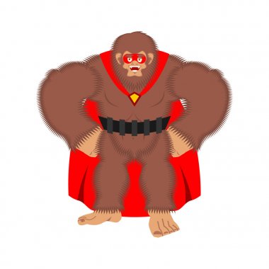 Koca ayak süper kahramanı. Süper Yeti maske ve yağmurluk. Güçlü sasqu