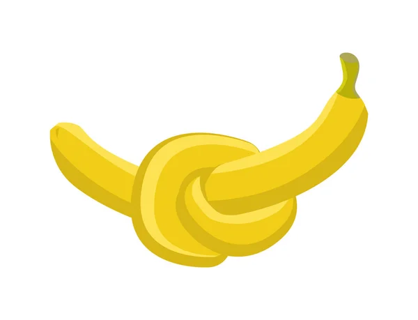 Banán csomót izolált. Utópisztikus gyümölcs vektor illusztráció — Stock Vector