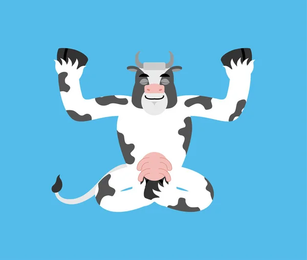 Yoga de vacas. Yogui animal de granja aislado. ternera Relajación y meditación — Vector de stock