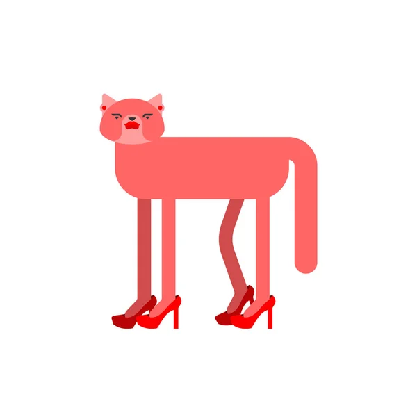 Lady Cat in high heels. Pet in female shoes. Fashionable animal — Stock Vector