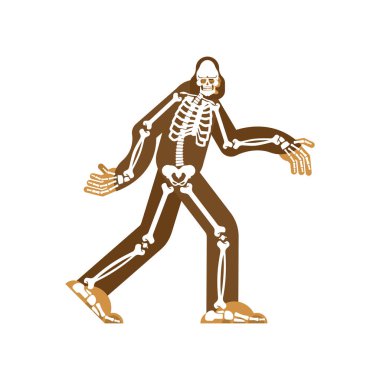 Bigfoot iskelet ıslah edildi. Sasquatch kafatası ve kemikler.  