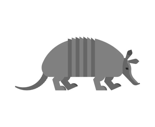Armadillo isolato. Animal Nine-hip Armadillo vector illustratio — Vettoriale Stock