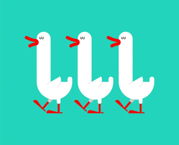 Manada de gansos aislados. Pájaro acuático de cuello largo. Vector ilustra — Vector de stock