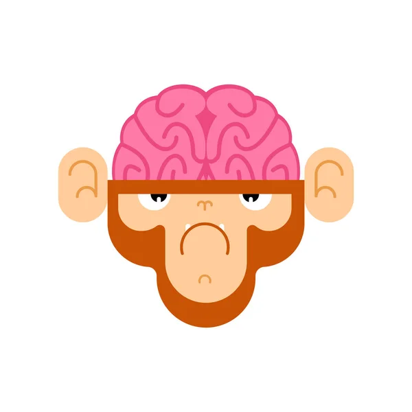 Monkey with brain. Gorilla with brains. Vector illustration — Stock Vector