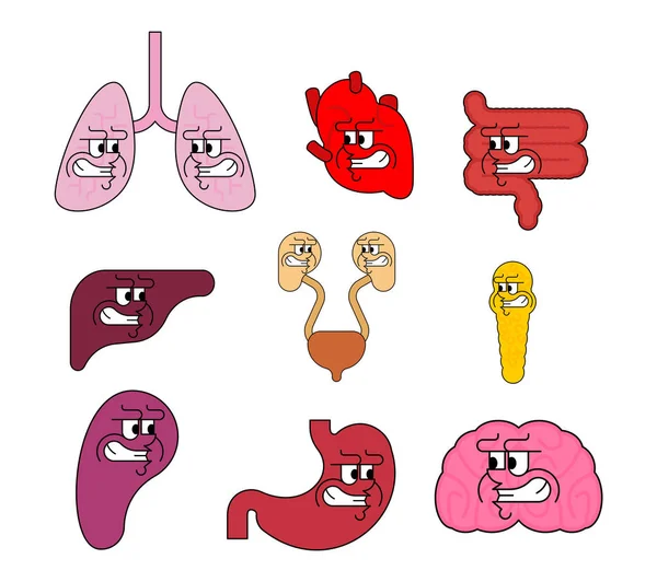 Milza e pancreas. intestini e cervello illustrazione vettoriale — Vettoriale Stock