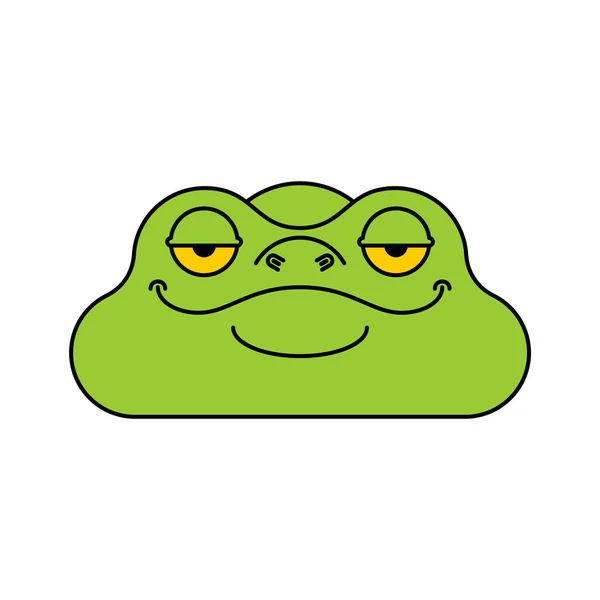 Groda huvudet isolerat. TOAD Face vektor illustration — Stock vektor