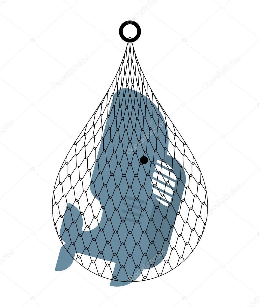 shark in net. Sea predator catch. vector ill