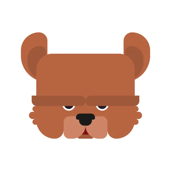 Teddy bear cartoon face isolate. Animal vector illustration — Stock Vector