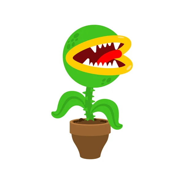 Flytrap in pot. Bloem Predator vleesetende plant. Boze bloemen — Stockvector