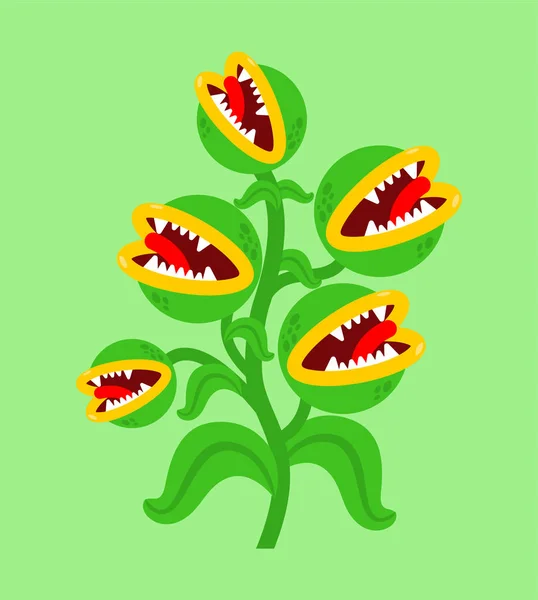 Flugfälla monster plant. Blomma rovdjur köttätande växt. Arg — Stock vektor