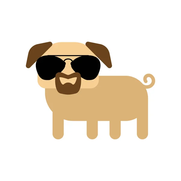 Studený Pug s brýlemi a bradkou — Stockový vektor