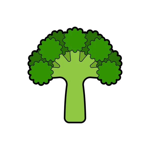 Brócolos isolados. Desenhos animados Vegetais. Ilustração do vetor alimentar —  Vetores de Stock