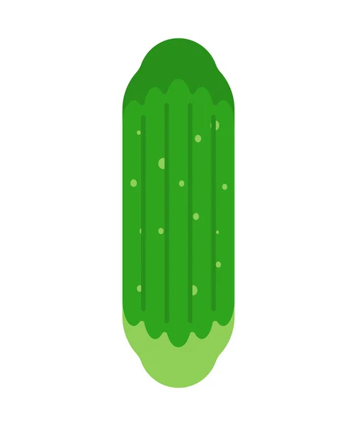 Komkommer geïsoleerd. Cartoon komkommers Plantaardig. Voedselvector illu — Stockvector
