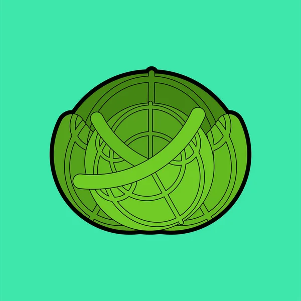 Kål isolerad. Grön grönsak. Illustration av livsmedelsvektor — Stock vektor