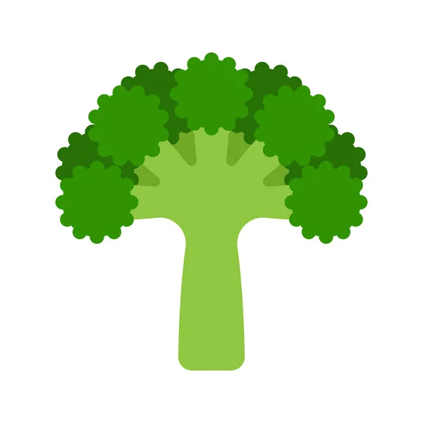 Brócoli aislado. Vegetales de dibujos animados. Ilustración del vector alimenticio — Vector de stock