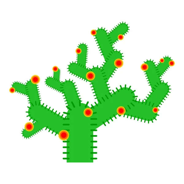 Kaktus s květinami Roztomilý izolovaný. legrační peyote kreslený styl — Stockový vektor