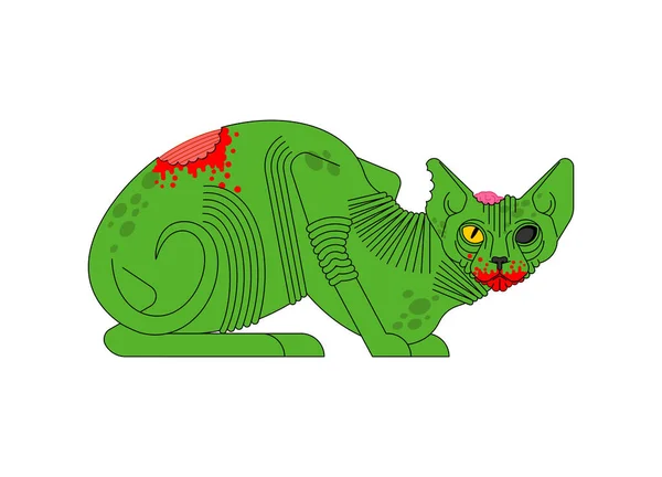 Zombie猫 宠物绿色怪物 病媒说明 — 图库矢量图片