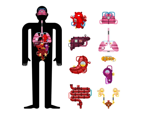 Kovové Lidské Anatomické Orgány Umělé Orgány Kybernetická Budoucnost Robotické Systémy — Stockový vektor