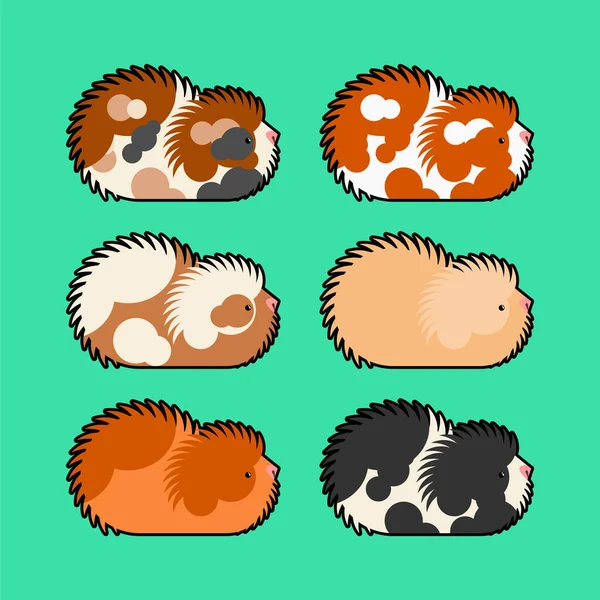 Cavy Set Guinea Pig Cartoon Vector Illustration — Stock Vector