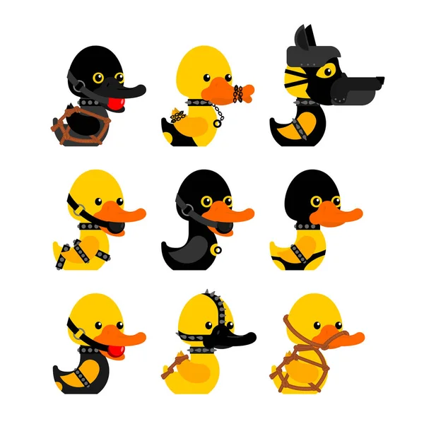 Bdsm Duck Set Fetish Toy Rubber Duck Black Suit — Stock Vector