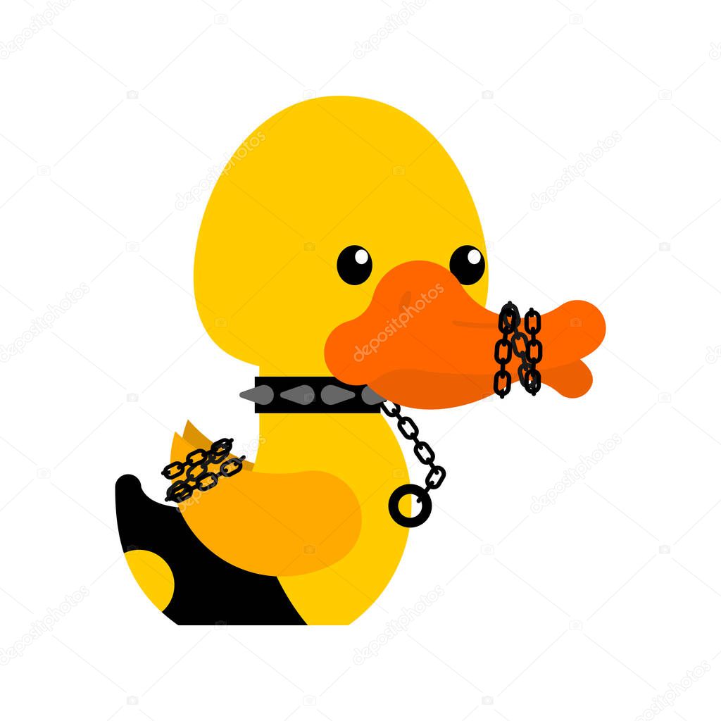 BDSM duck. fetish toy Rubber duck in black suit. 