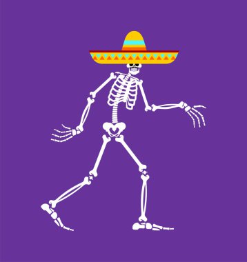 Sombrero 'daki iskelet. Kafatası ve Meksika şapkası. Meksika 'da Ölülerin Günü