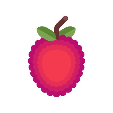 Lychee izole edildi. Küçük yuvarlak tatlı meyve. vektör illüstrasyonu