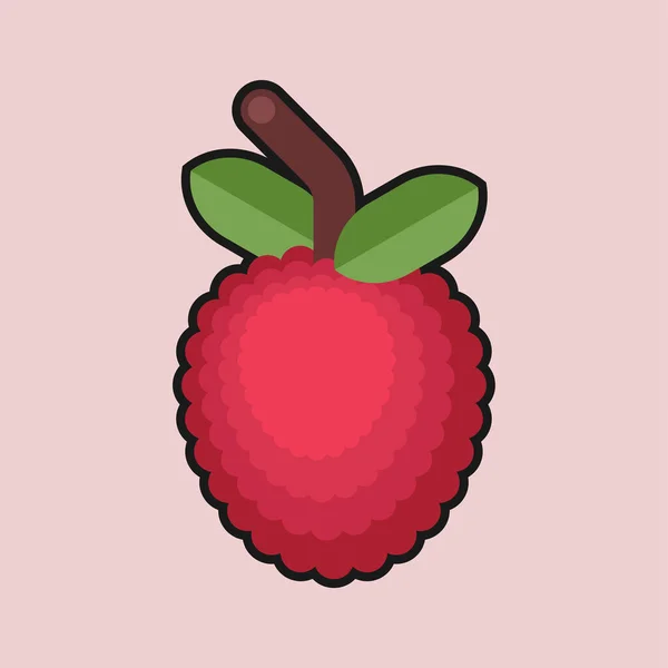 Lychee Geïsoleerd Klein Rond Zoet Fruit Vectorillustratie — Stockvector