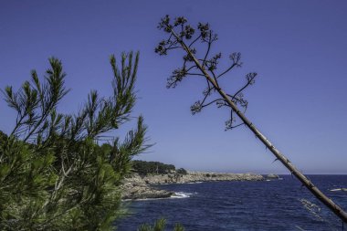 Capdepera Cala Ratjada Mallorca İspanyol