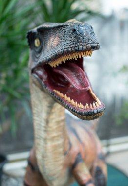 Dinozor growls açık mouth.closeup ile