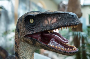 Dinozor growls açık mouth.closeup ile