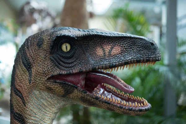 Dinozor growls açık mouth.closeup ile