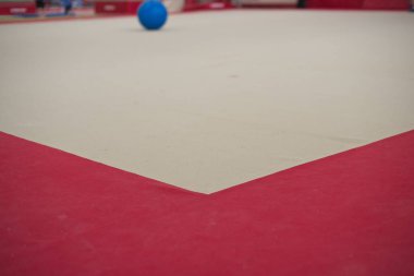 Jimnastik egzersiz zemin halı