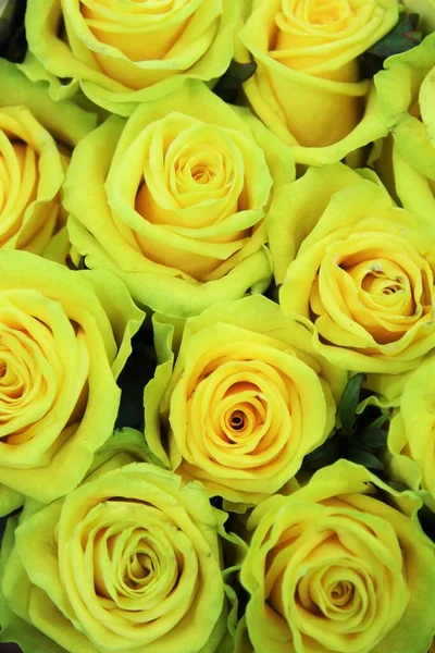 Bukiet Żółtych Róż — Zdjęcie stockowe