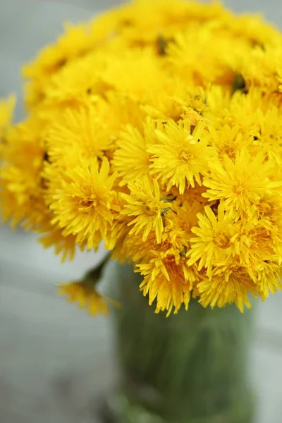 Buquê Flores Silvestres Amarelas Brilhantes — Fotografia de Stock