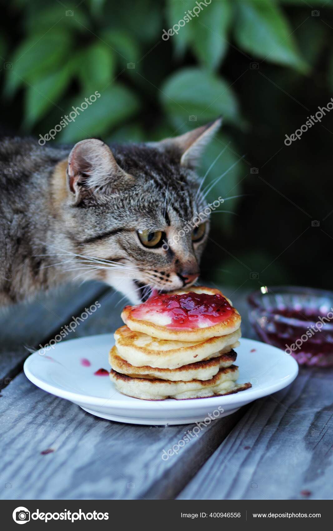 Cat Eating Pancakes