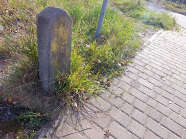 Kısmen ot ve yabani otlarla kaplı bir kaldırım kenarında beton bir sütun duruyor, kentsel altyapı ve çevredeki esnekliği vurguluyor.