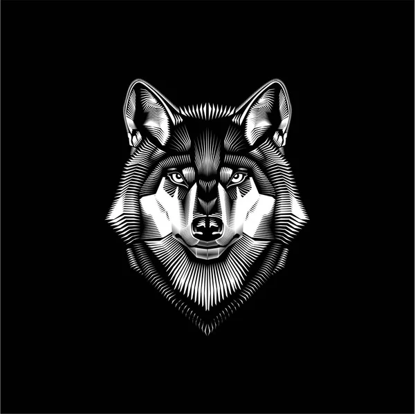 Lobo Cabeza Representa Estilo Grabado — Vector de stock