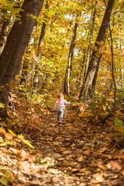 mutlu küçük çocuk, gülen ve sonbahar Parkta oynayan bebek kız