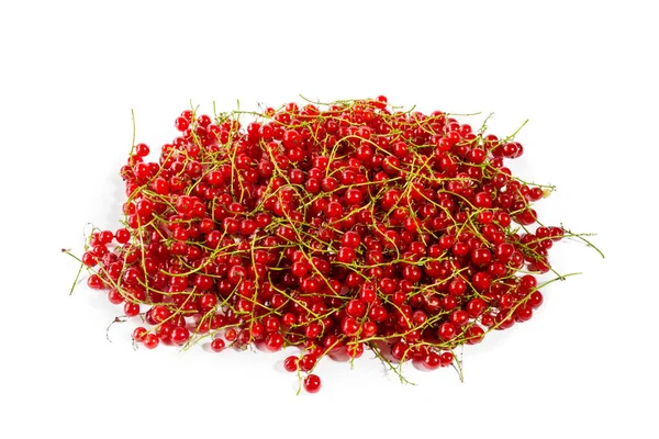 Many Red Currant Isolated — Stock Photo, Image