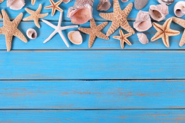 Tropikal plaj yaz deniz yıldızı sınır arka plan.