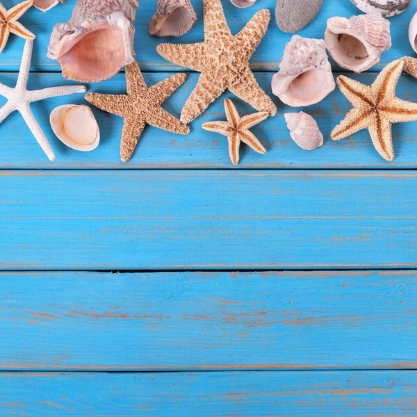 Tropikal plaj yaz deniz yıldızı sınır Meydanı arka plan