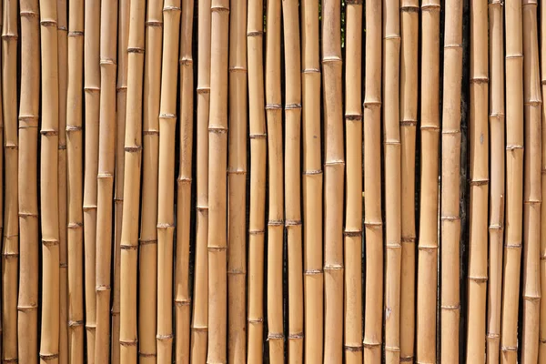 Bambu Trä Staket Naturliga Bakgrundsstruktur Stockbild