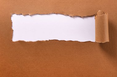 Yırtık kahverengi kağıt kenar başlığı çerçeve beyaz arka plan haddelenmiş