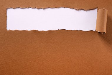 Kahverengi kağıt uzun kenar başlığı çerçeve beyaz arka plan haddelenmiş yırtılmış